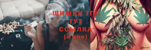 a pvp Аркадак
