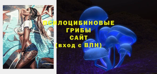 a pvp Аркадак